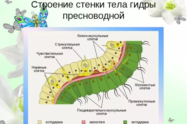 Как зарегистрироваться в кракен в россии