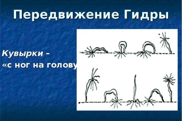 Кракен 2kraken biz